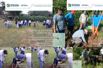 PREFEITURA DE BRASILÂNDIA REALIZA DIA DE CAMPO COM PLANTIO DE MUDAS EM ÁREAS DE PRESERVAÇÃO PERMANENTE.
