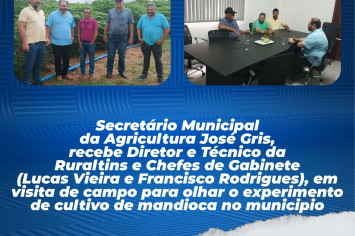 REUNIÃO E VISITA AO CAMPO PARA INSPECIONAR O EXPERIMENTO DO CULTIVO DE MANDIOCA NO MUNICÍPIO.